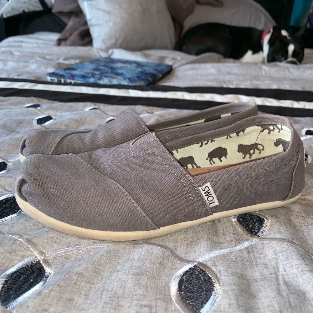 Women’s Toms